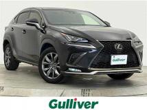 2019 Lexus NX