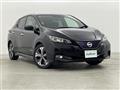 2019 Nissan Leaf