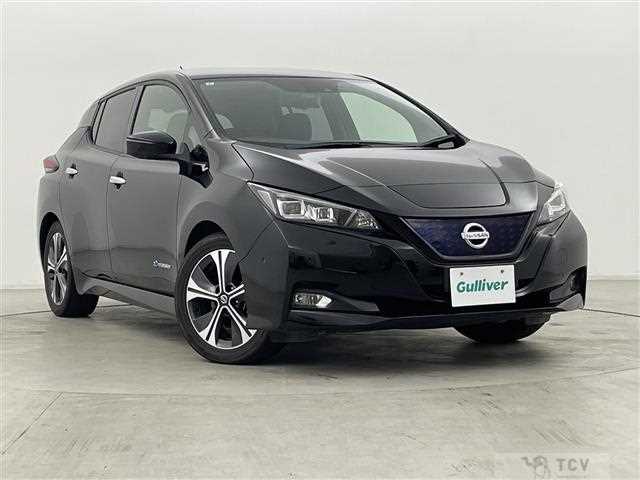 2019 Nissan Leaf