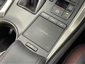 2020 Lexus NX