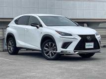 2019 Lexus NX
