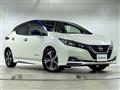 2019 Nissan Leaf