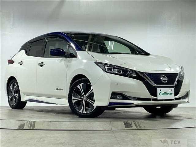 2019 Nissan Leaf