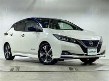 2019 Nissan Leaf