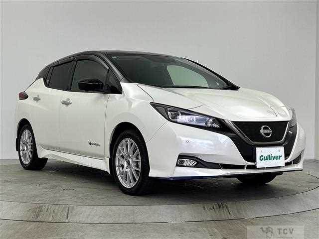 2022 Nissan Leaf