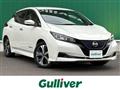 2022 Nissan Leaf
