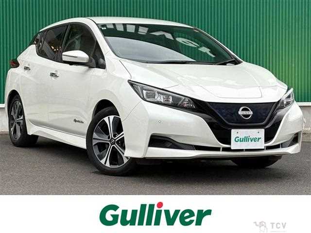 2022 Nissan Leaf