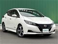 2022 Nissan Leaf