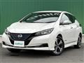 2022 Nissan Leaf