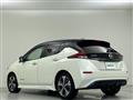 2019 Nissan Leaf