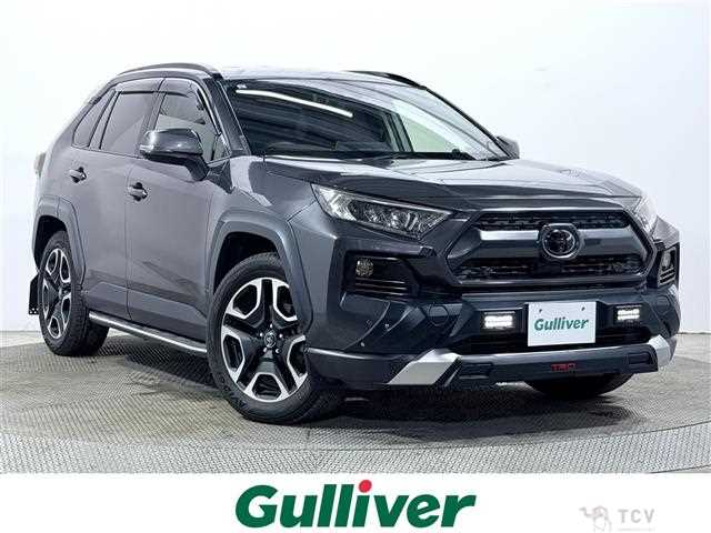 2019 Toyota RAV4