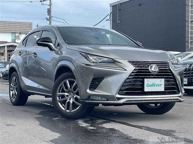 2021 Lexus NX