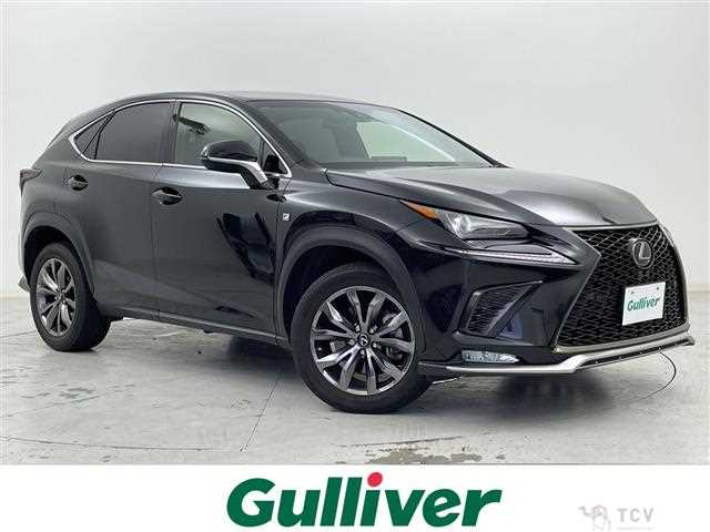 2018 Lexus NX