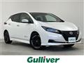 2024 Nissan Leaf