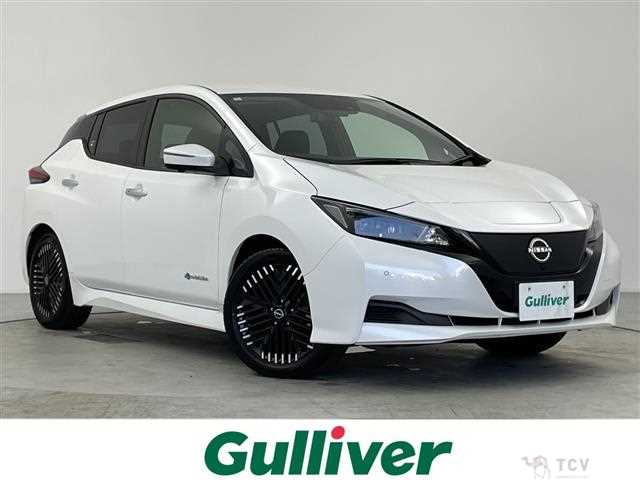 2024 Nissan Leaf