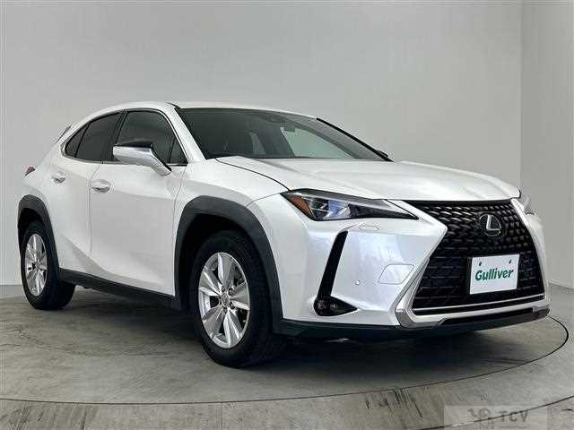 2019 Lexus UX