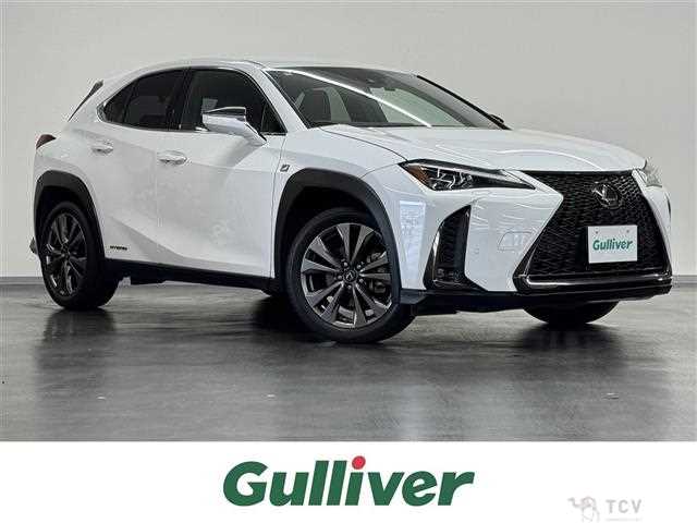 2020 Lexus UX