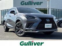 2018 Lexus NX