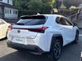2021 Lexus UX