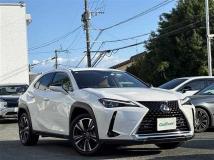 2021 Lexus UX