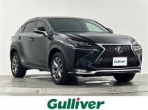2015 Lexus NX