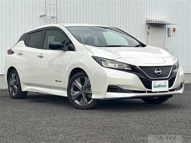 2021 Nissan Leaf
