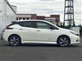 2021 Nissan Leaf