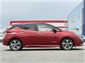2019 Nissan Leaf