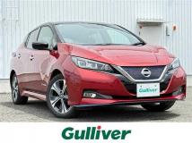 2019 Nissan Leaf