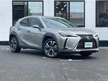 2019 Lexus UX