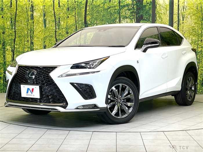 2017 Lexus NX
