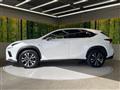2018 Lexus NX