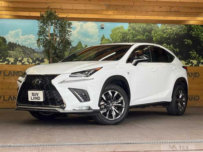 2018 Lexus NX