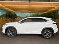 2018 Lexus NX