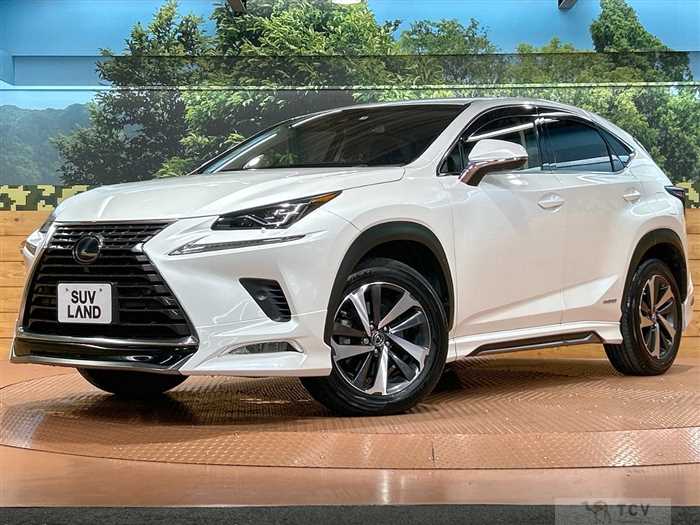2018 Lexus NX