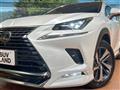 2018 Lexus NX