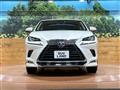 2018 Lexus NX