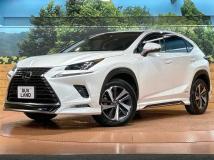 2018 Lexus NX