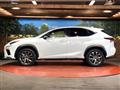 2019 Lexus NX