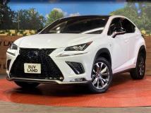 2019 Lexus NX