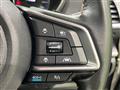 2019 Subaru Subaru Others