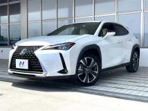 2020 Lexus Other