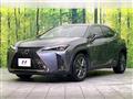 2021 Lexus Other