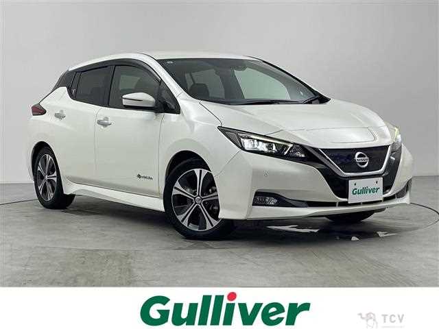 2017 Nissan Leaf