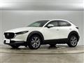 2019 Mazda CX-3