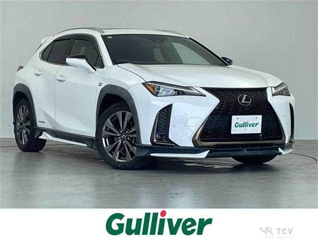 2019 Lexus UX