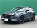 2021 Mazda CX-3