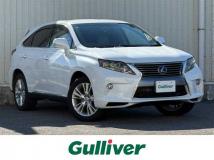 2009 Lexus RX