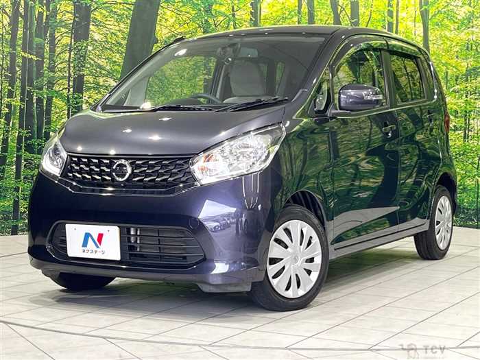 2013 Nissan DAYZ