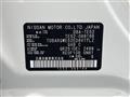 2017 Nissan Elgrand